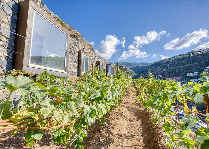 Socalco Nature Hotel Calheta (Madeira)